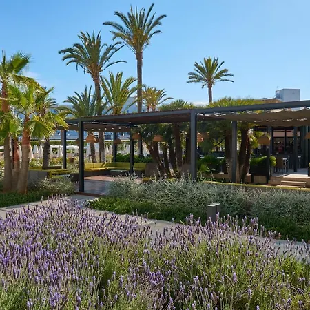 Hotel Protur Sa Coma Playa & 4*